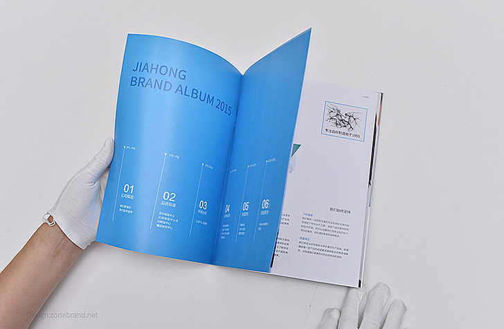 zonebrand设计顾问出品:家鸿义齿口腔医疗画册设计,深圳画册设计公司;