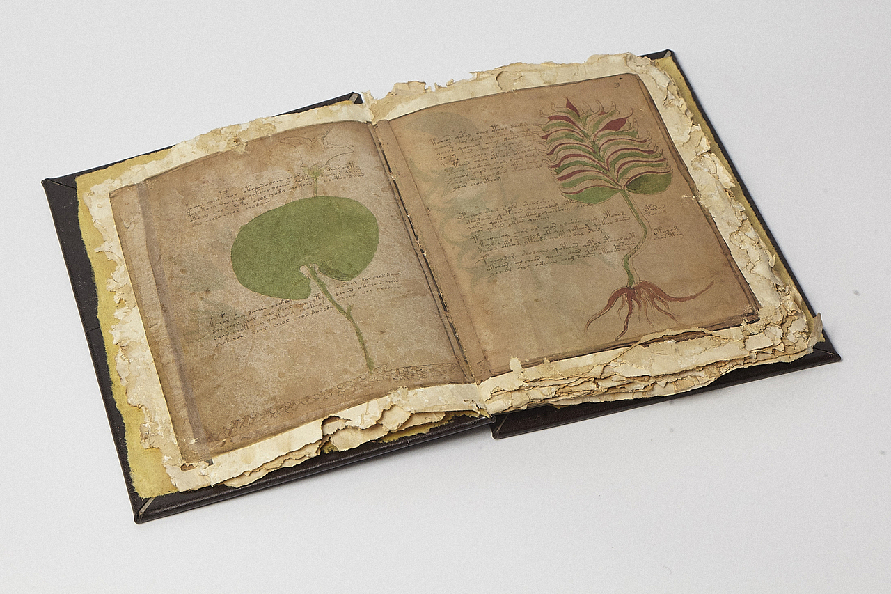 一本神秘的书籍《Voynich manuscript》（伏尼契手稿）（图ZODEwOTI2ODg=） - 书籍/画册 - 站酷设计师天佑书房原创素材 - 站酷ZCOOL