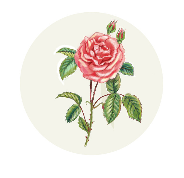 手绘-1（图ZMTAyMzQ1NDgw） - 图案 - 站酷设计师贝格之语原创素材 - 站酷ZCOOL