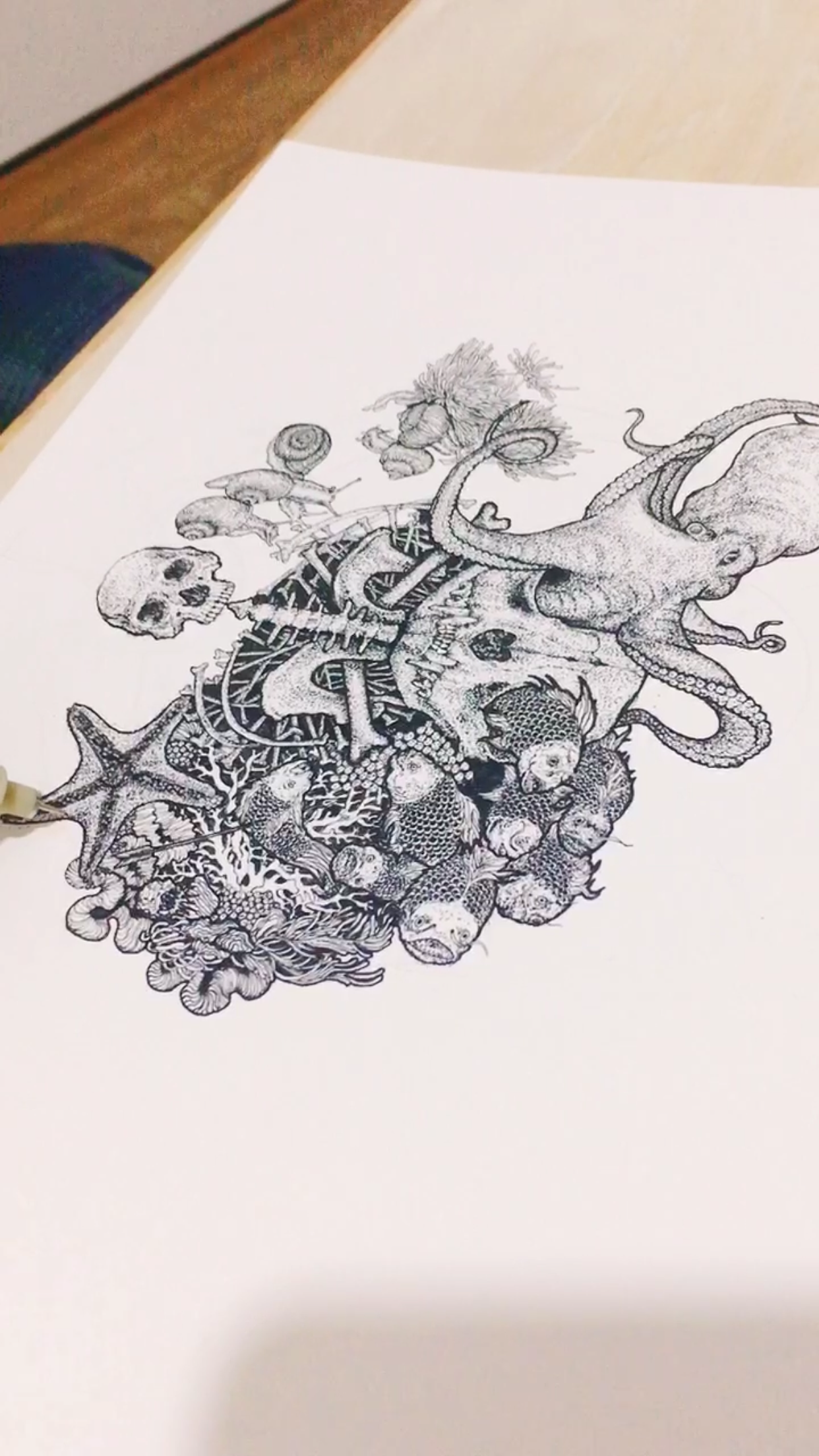 LY万物系列之海洋