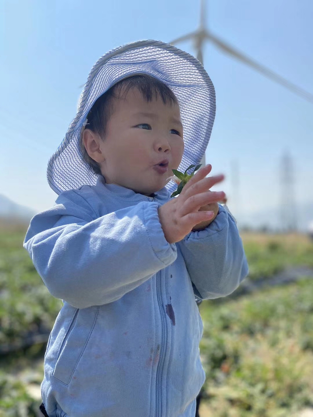 INS风画像（图ZMjA0NjA5ODk2） - 艺术插画 - 站酷设计师贰米有点二原创素材 - 站酷ZCOOL