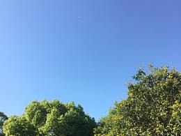 飛鳥與飛機(jī)