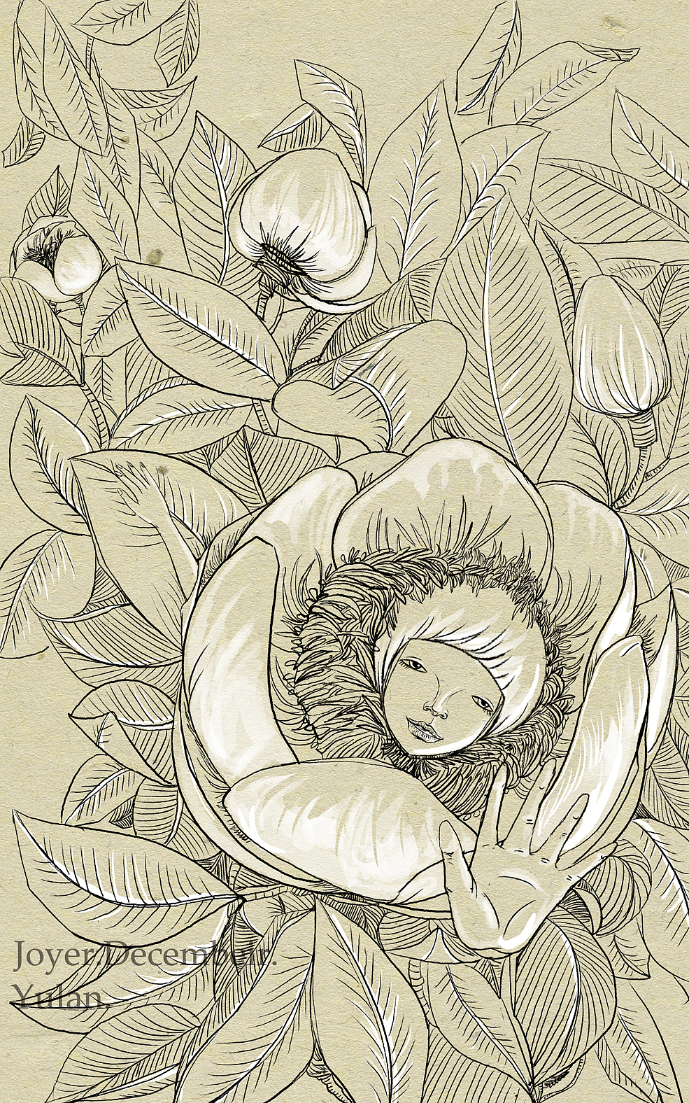 一些插画（图ZMTEyMTU2NTU2） - 商业插画 - 站酷设计师jarjar_lee原创素材 - 站酷ZCOOL