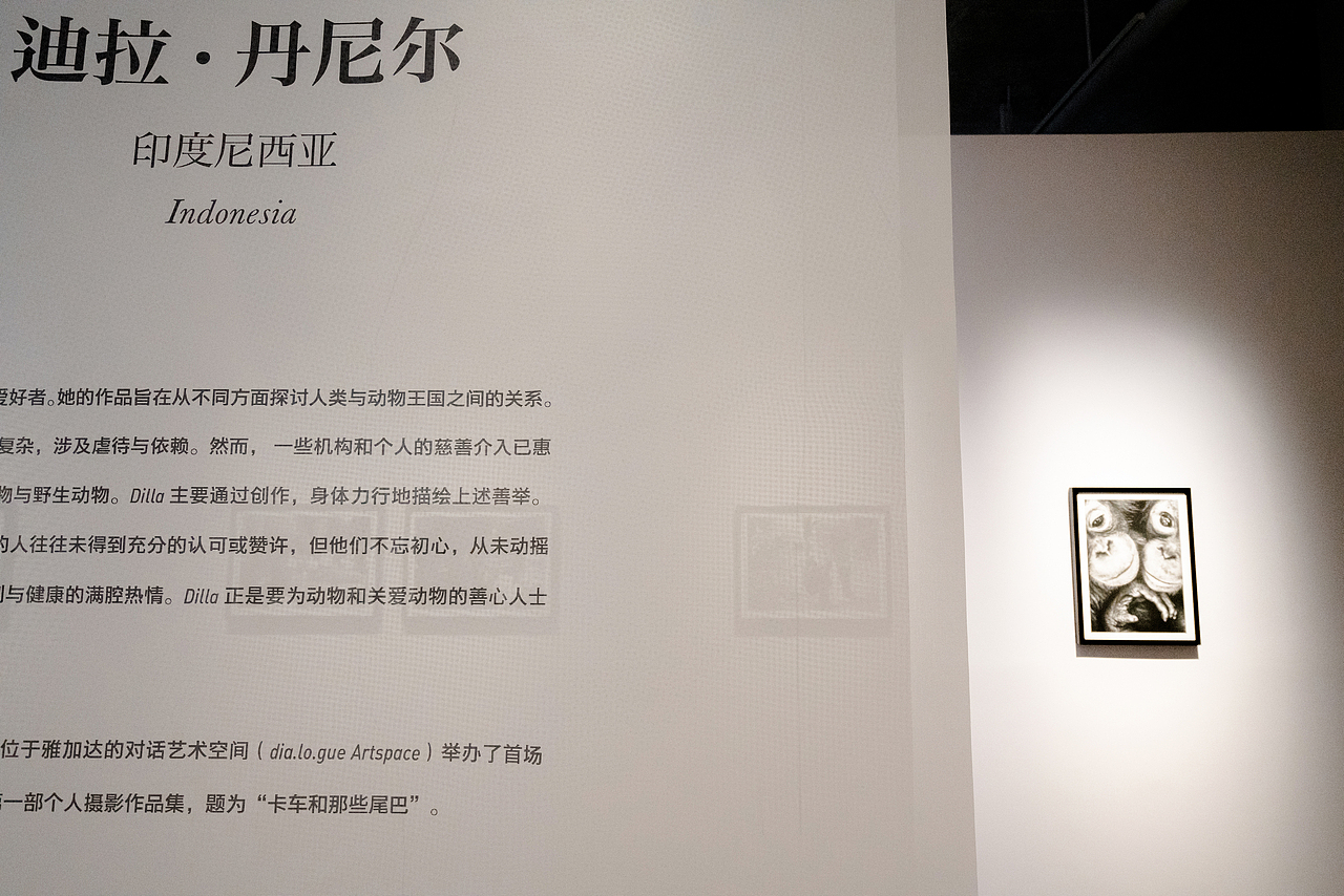 展陈设计丨 她影像——亚洲女性摄影师作品联展(图ZMjc0NDcwNTEy) - 展陈设计 - 站酷设计师格局创界文化原创素材 - 站酷ZCOOL