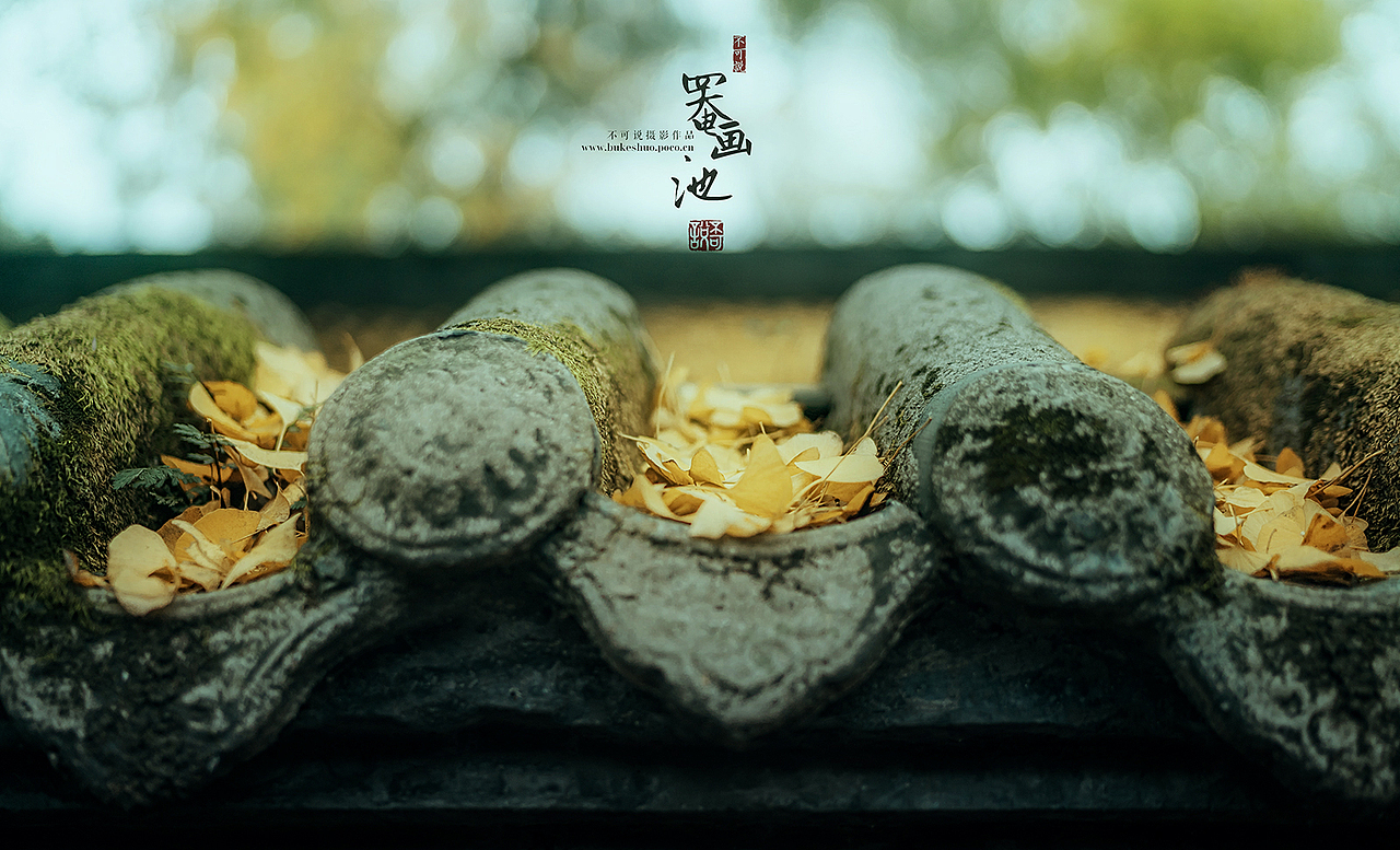 罨画池（图ZMTc2OTQ4OTUy） - 人像摄影 - 站酷设计师摄影师不可说原创素材 - 站酷ZCOOL