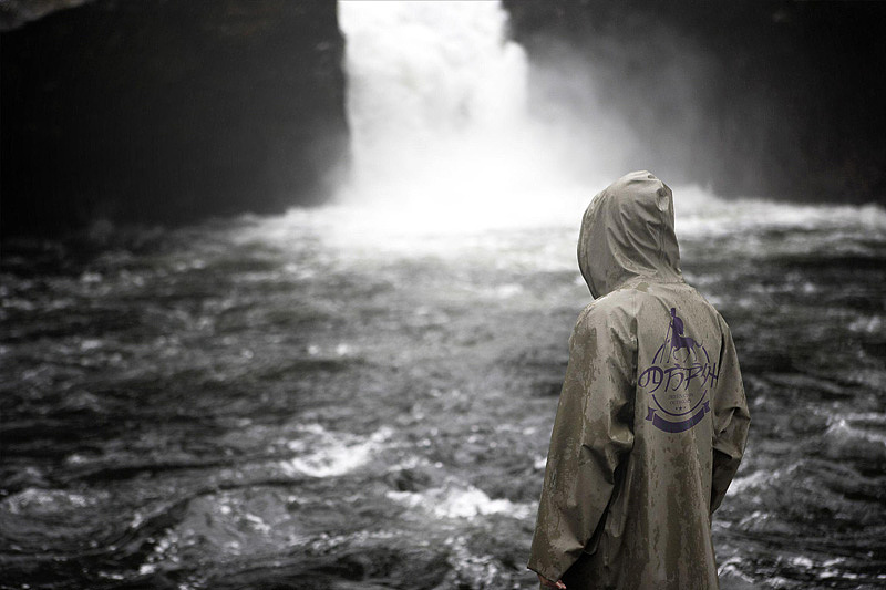 || 蜥奎概念 || 作品合集