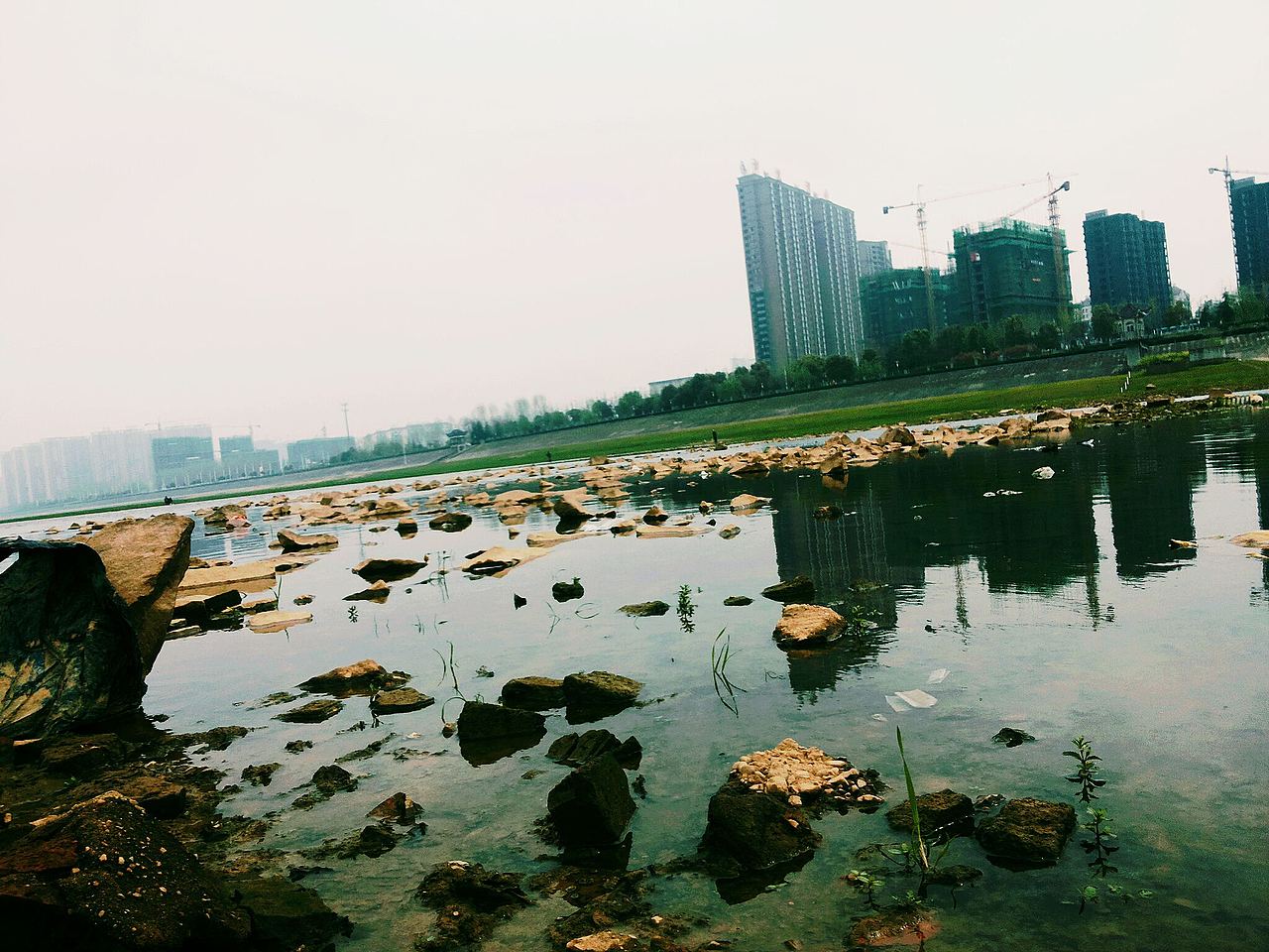 那一年，我的校园，我们的月亮岛