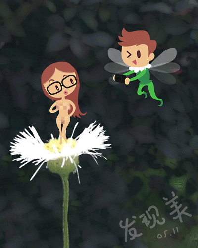 路边的小花开了~~