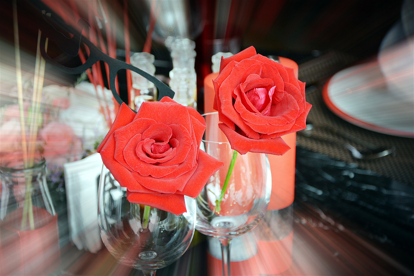 玫瑰花动态壁纸下载-娇艳美丽盛开着的玫瑰花桌面动态壁纸- Mac下载