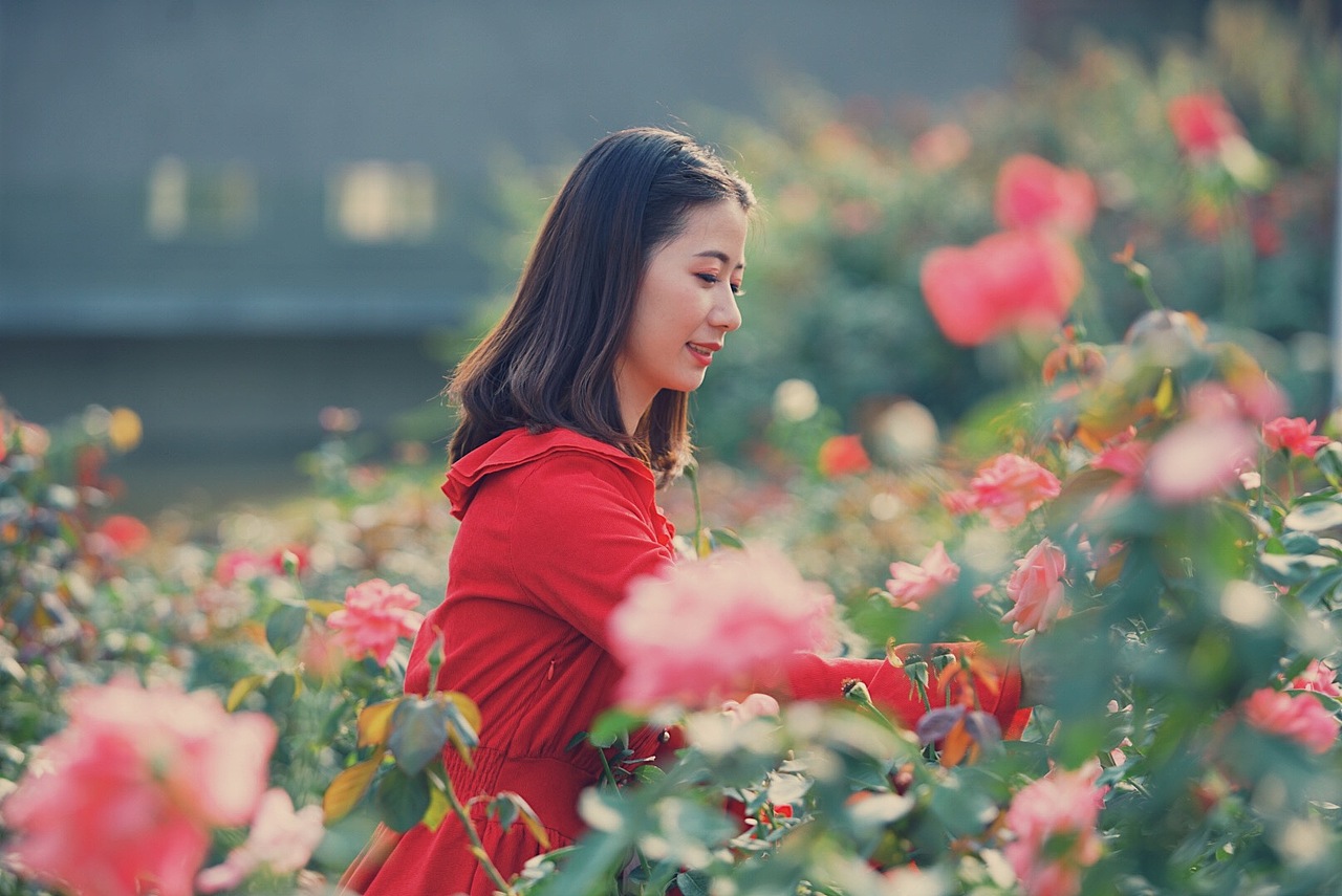 玫瑰园人像拍摄2019