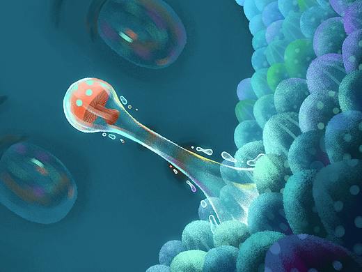 近期插画小合集