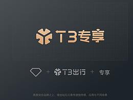 T3专享
