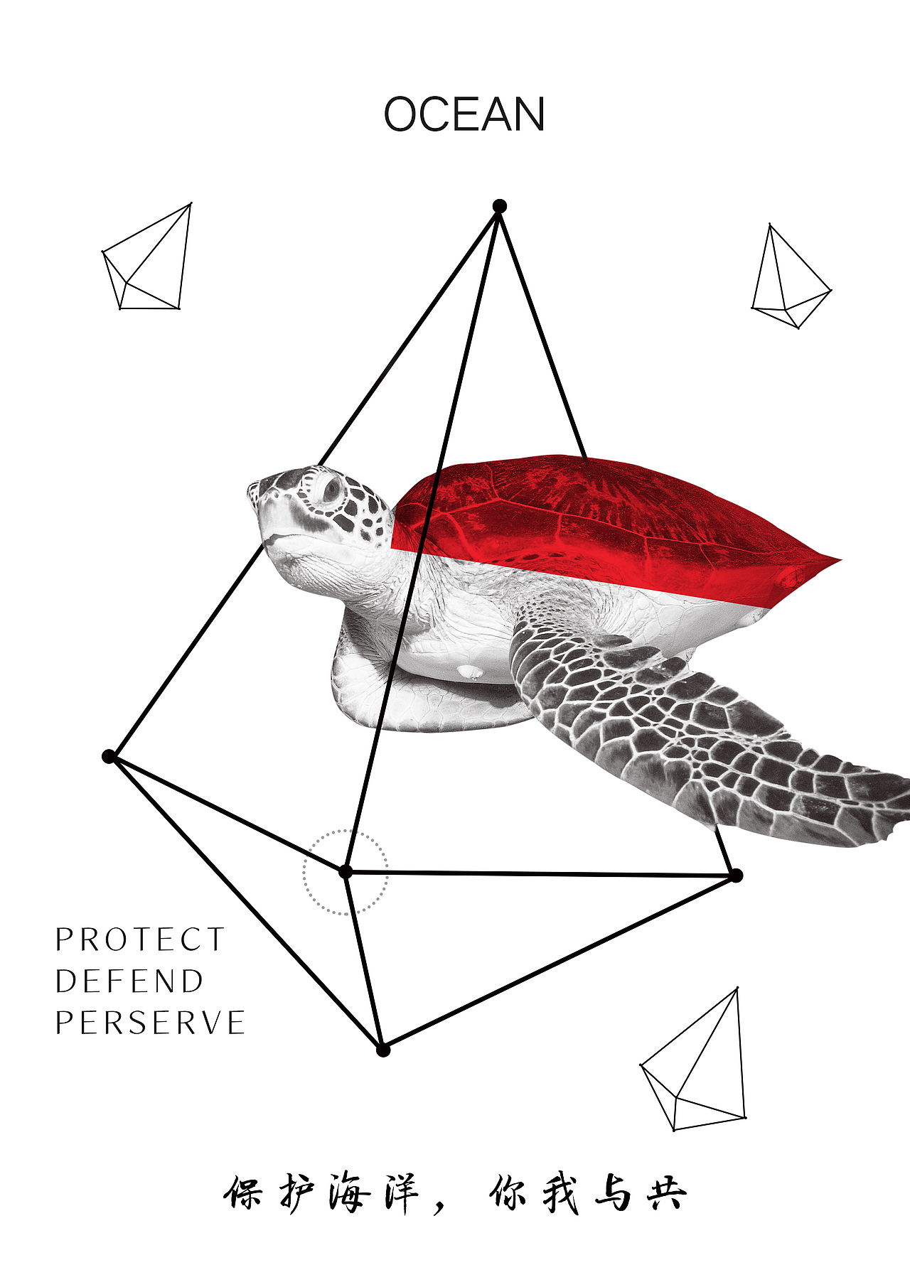主题为保护海洋海报大家来用字体
