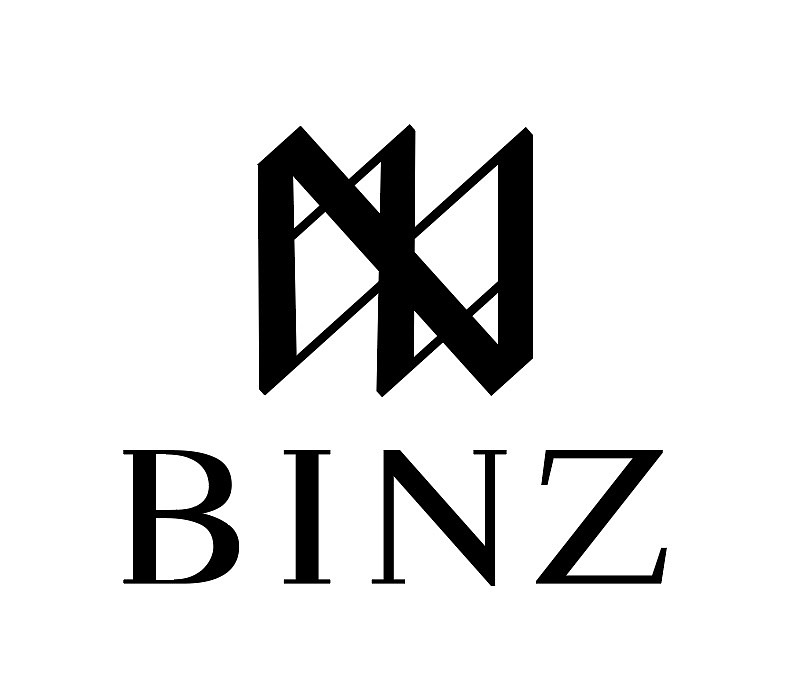BINZ logo_gefe站酷ZCOOL
