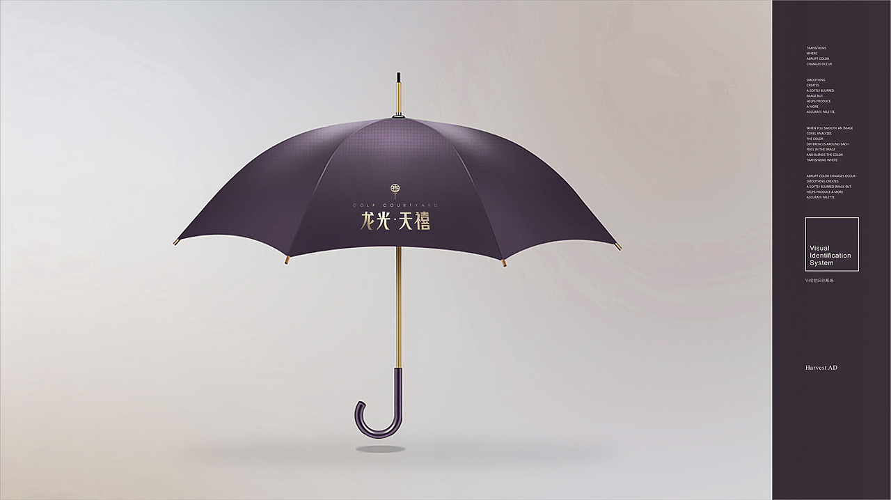 龙光天禧（图ZMTE2NzE4MTY0） - Logo - 站酷设计师这是个W原创素材 - 站酷ZCOOL