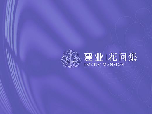 提案飞机稿