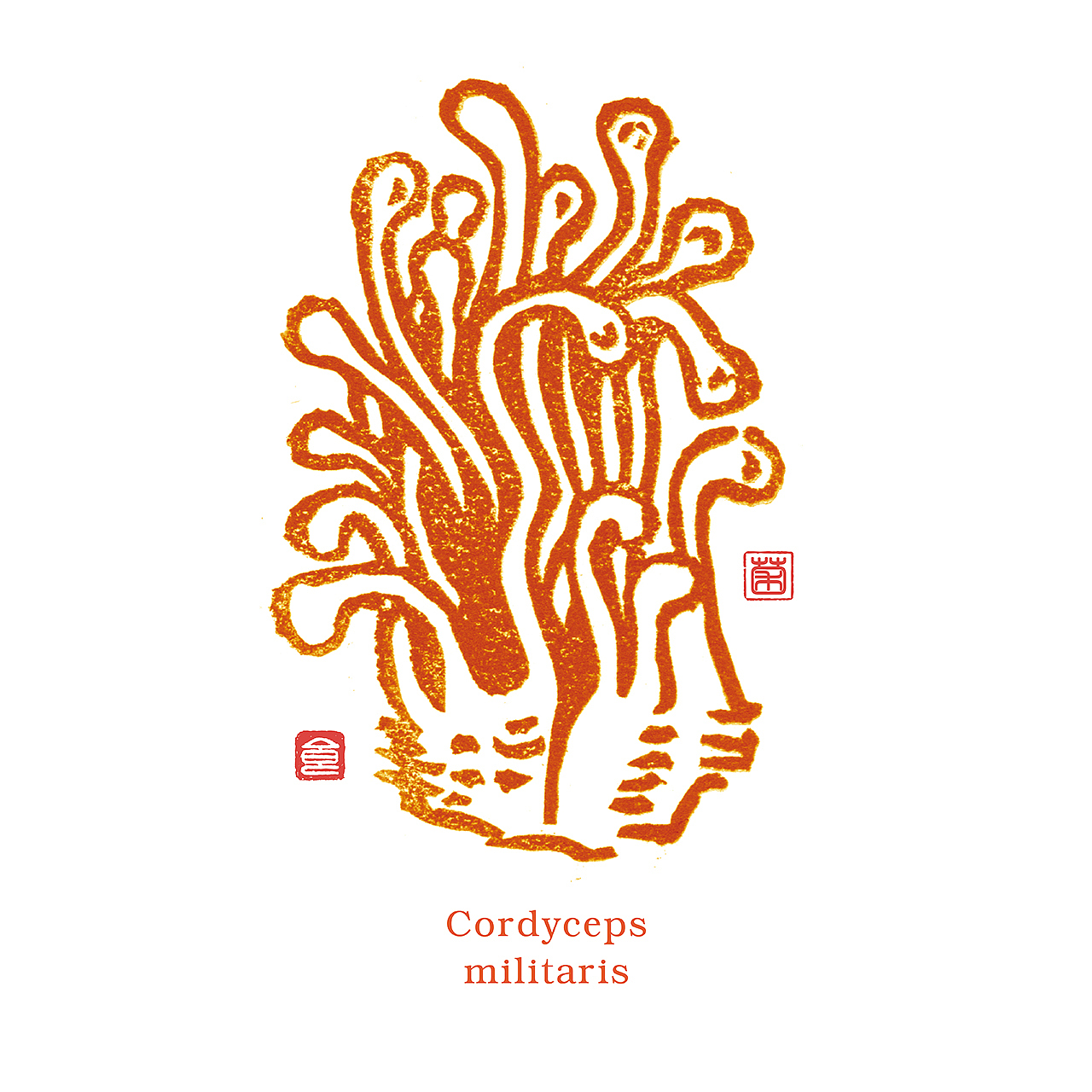 云南“滇蜀家人”野生菌系列包装——意形社