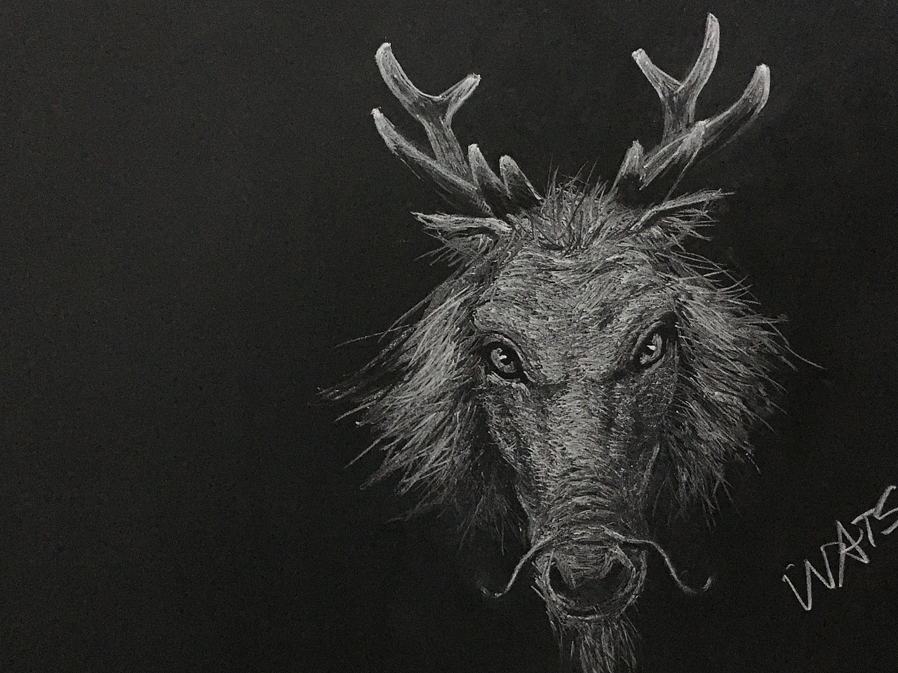 《黑板粉笔画》12生肖