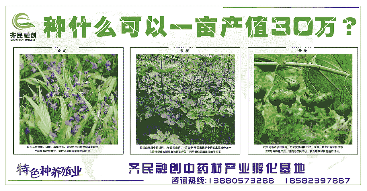 药材企业喷绘广告制作