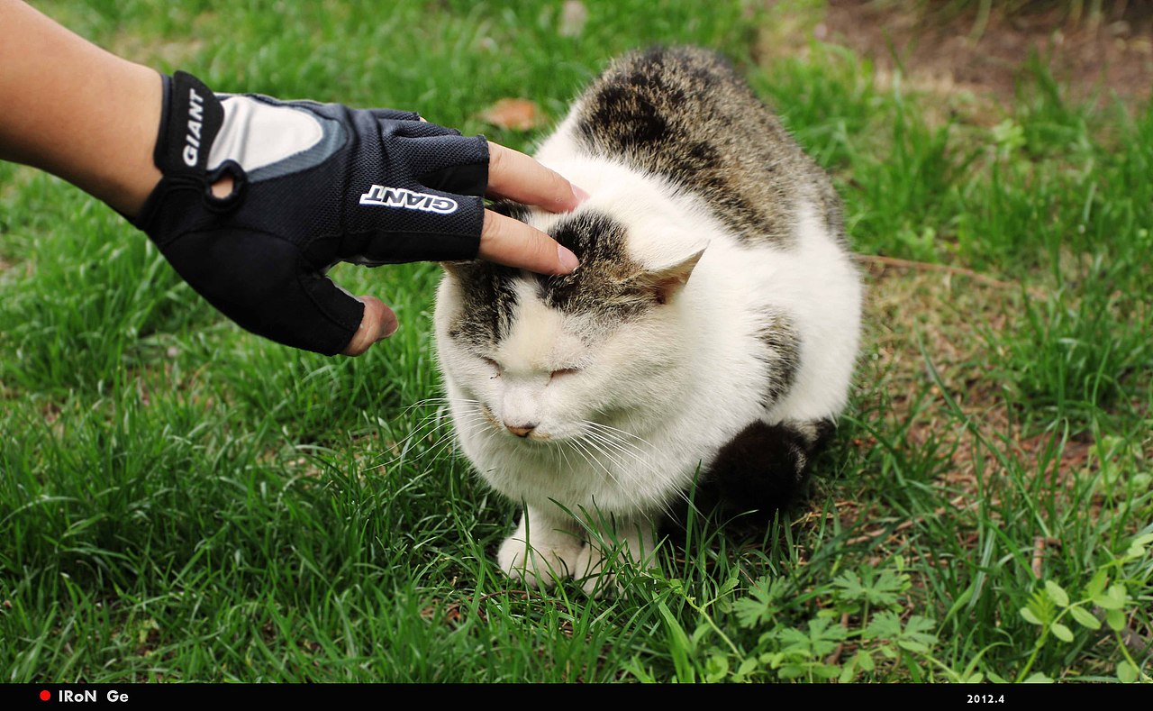 我喜欢到处散步~（图ZNTQ5NTA2OA==） - 风光摄影 - 站酷设计师iron1985原创素材 - 站酷ZCOOL