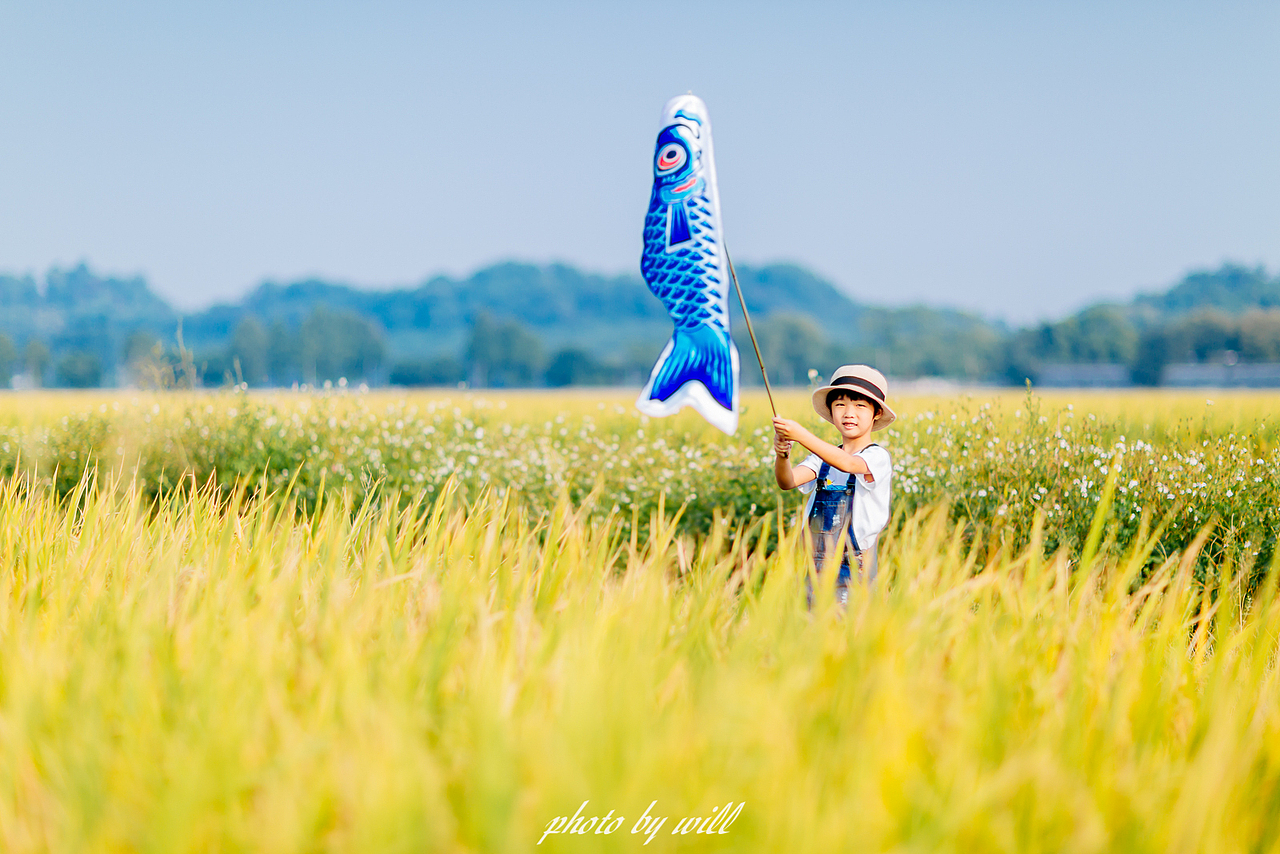 稻香中的微笑（图ZMjQyMzM4NTYw） - 人像摄影 - 站酷设计师斌大Will原创素材 - 站酷ZCOOL