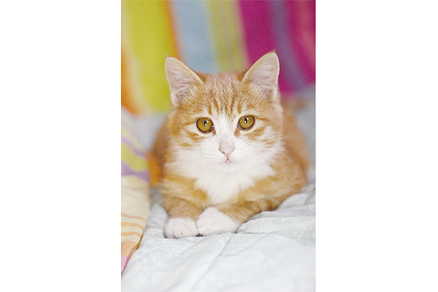 俩月的yiyi还懵懵懂懂,眼神里透漏出各种疑惑,到哪都小心翼翼的。