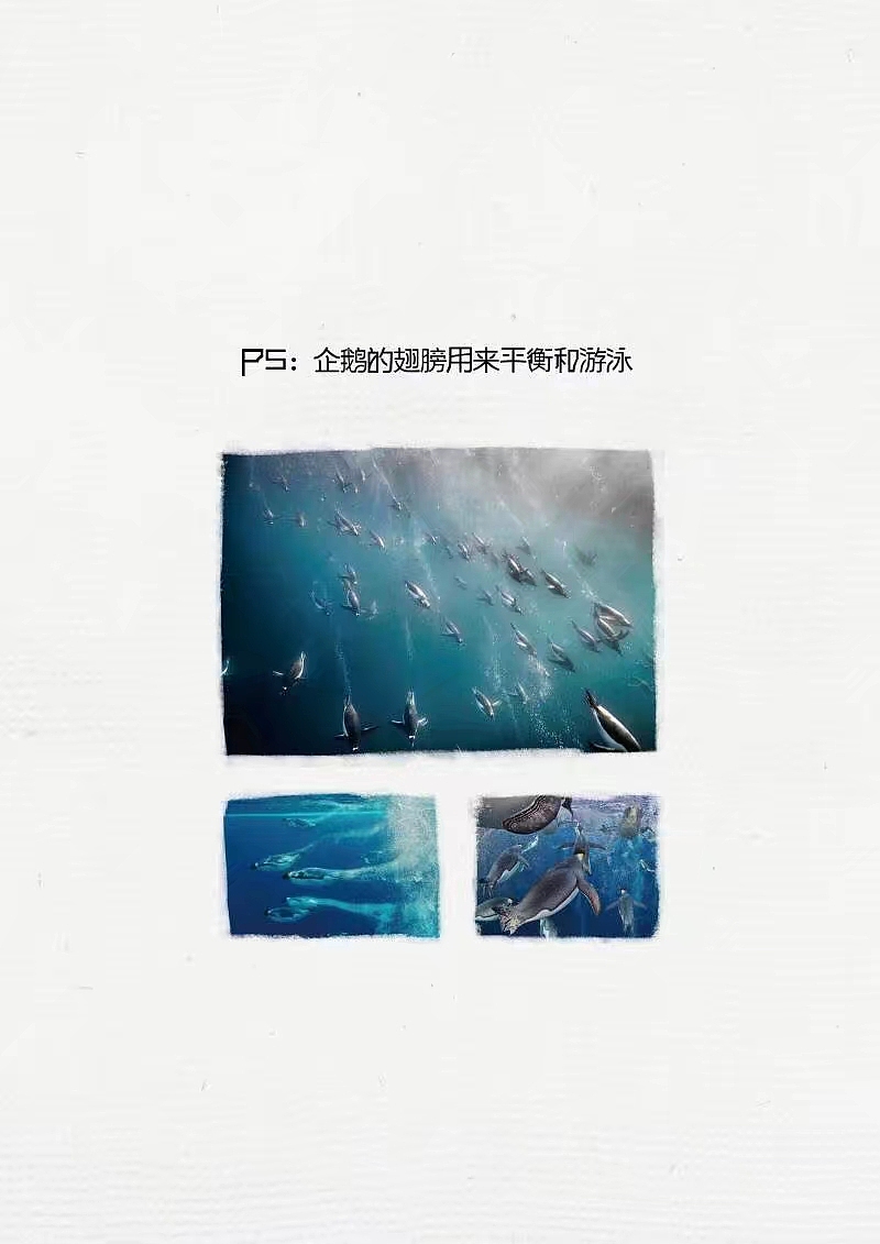 儿童插画绘本（图ZMTA4MzgzNzIw） - 绘本 - 站酷设计师我是六娃原创素材 - 站酷ZCOOL