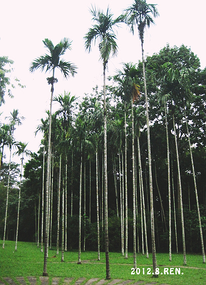 彩云之南（图ZNTQwMTQwNTY=） - 风光摄影 - 站酷设计师無邉原创素材 - 站酷ZCOOL