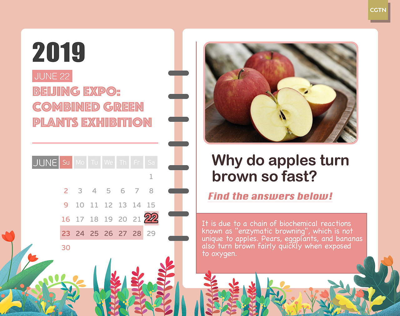 2019世界园艺博览会-预告日历系列（图ZMTY4NTc4NDE2） - 宣传物料 - 站酷设计师南旬yp原创素材 - 站酷ZCOOL