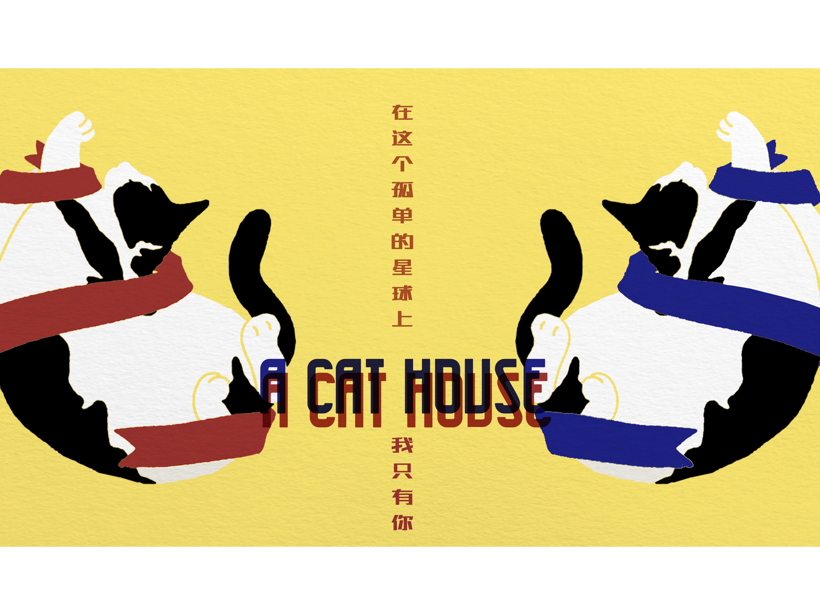 猫咖 宣传海报 体验卡