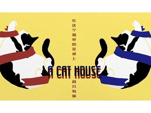猫咖 宣传海报 体验卡