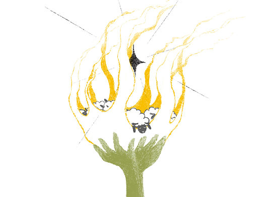 “咩咩”牌火种