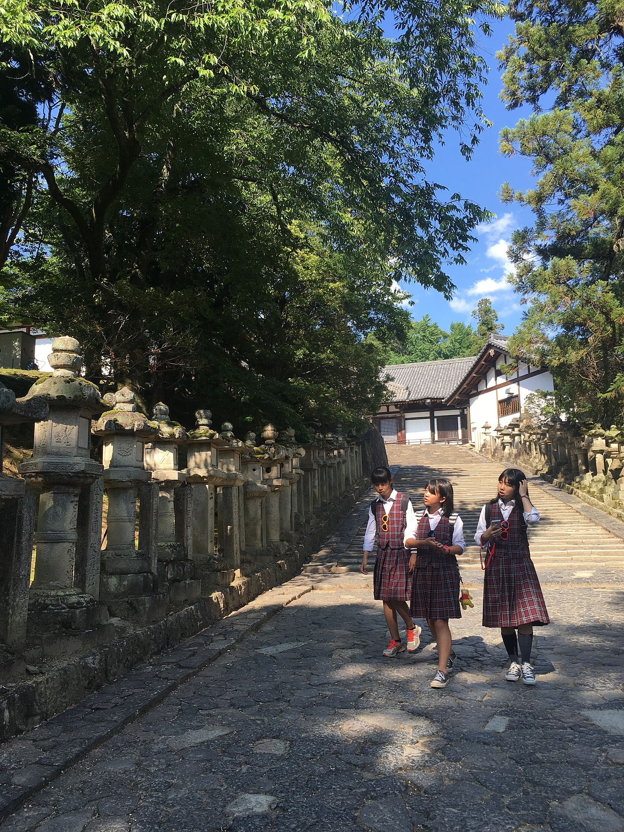 近几年一些旅行皂片(上)