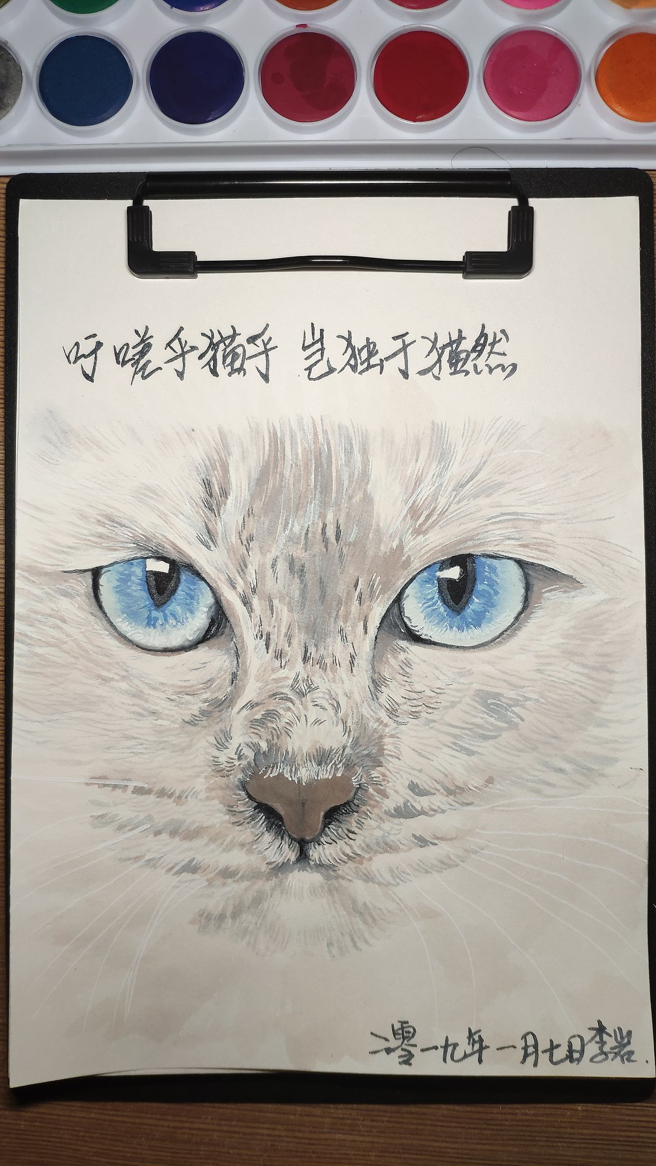 小猫（图ZMTQxNzM1OTMy） - 绘画 - 站酷设计师李拜天轩辕十四原创素材 - 站酷ZCOOL