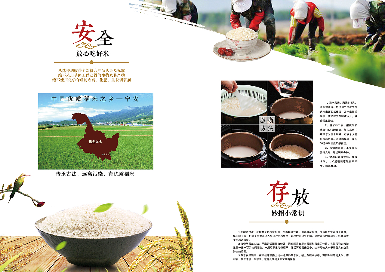 石板大米画册（图ZMTY5NzMzNzQ4） - 书籍/画册 - 站酷设计师逍遥吖原创素材 - 站酷ZCOOL