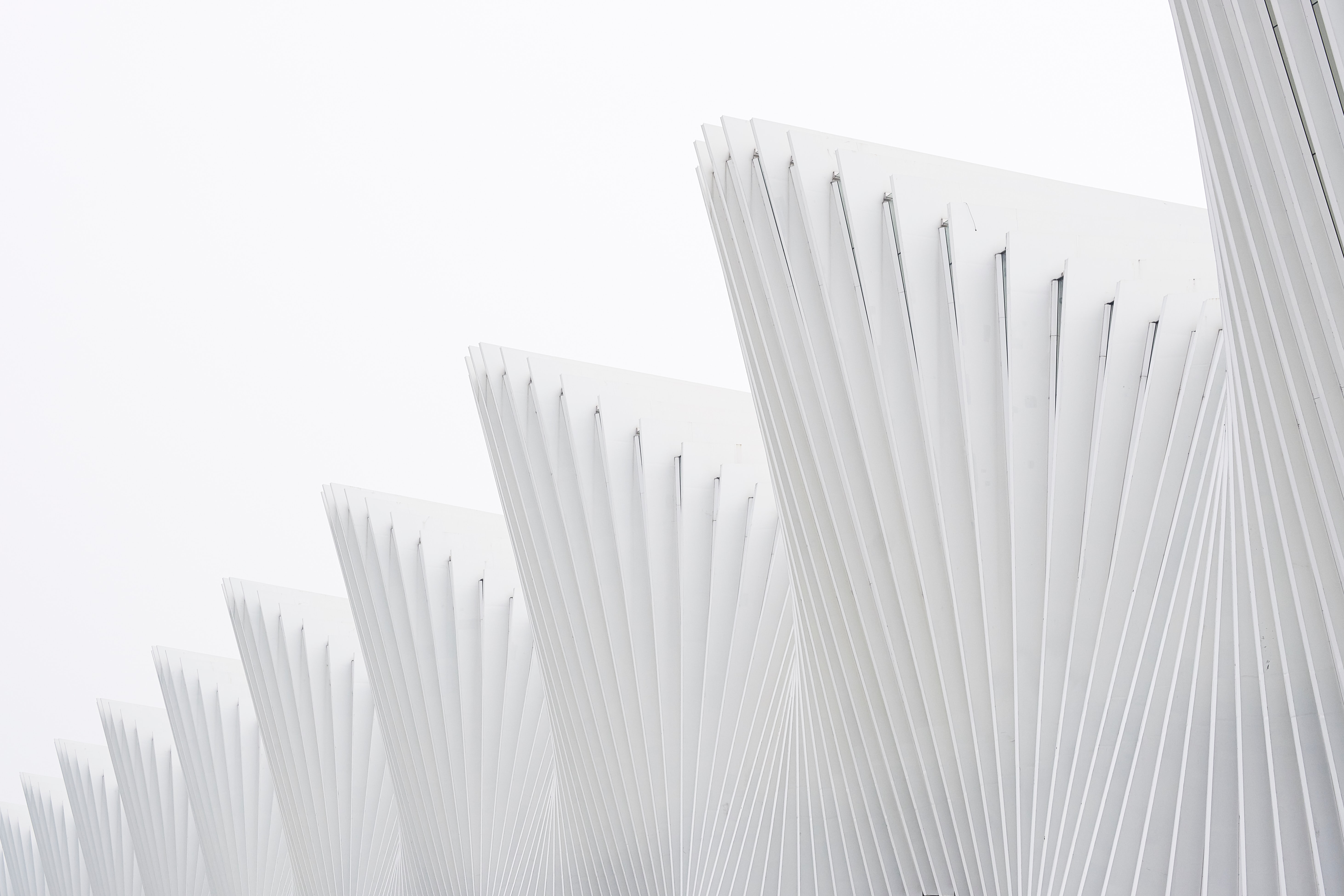 Yealsy晔晖的个人主页（封面预览） - 主页封面设置 - 站酷设计师Yealsy晔晖原创素材 - 站酷ZCOOL