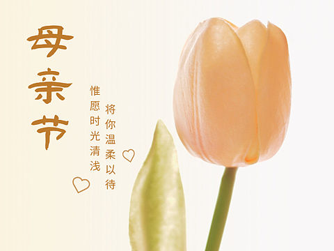 2023母亲节企业营销公司海报节日借势品牌营销设计