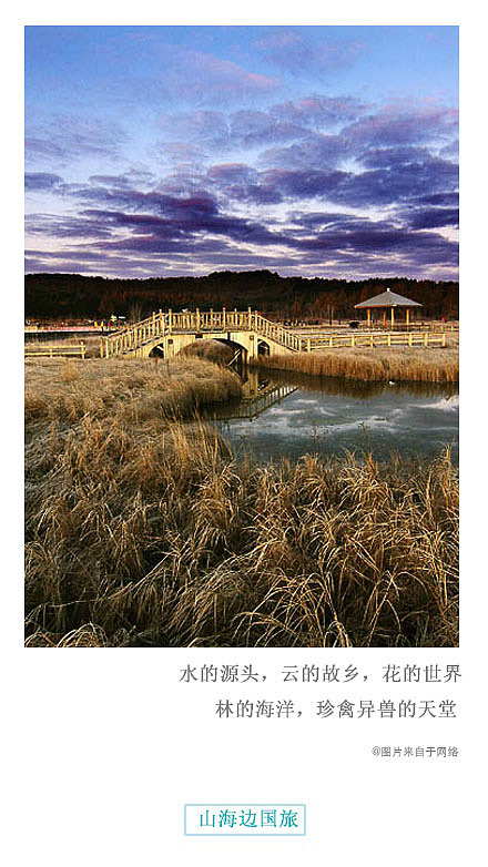 微博杂志（图ZNTkxODQ4NDQ=） - 品牌 - 站酷设计师首席增长官原创素材 - 站酷ZCOOL
