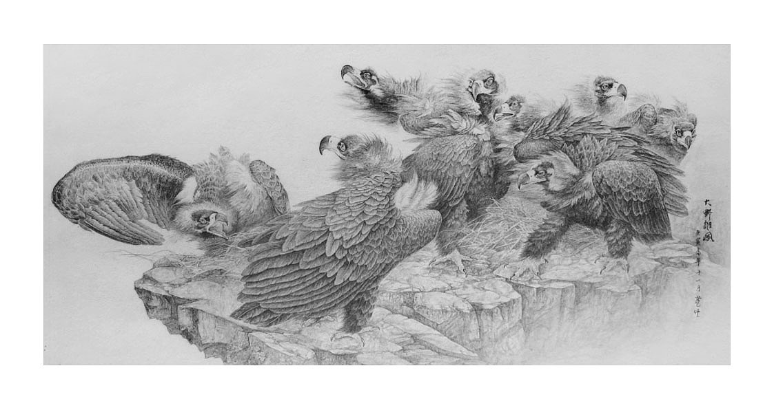 素描作品-老鹰（野风）（图ZNTM4NzQ1NDQ=） - 绘画 - 站酷设计师墨龙辰原创素材 - 站酷ZCOOL