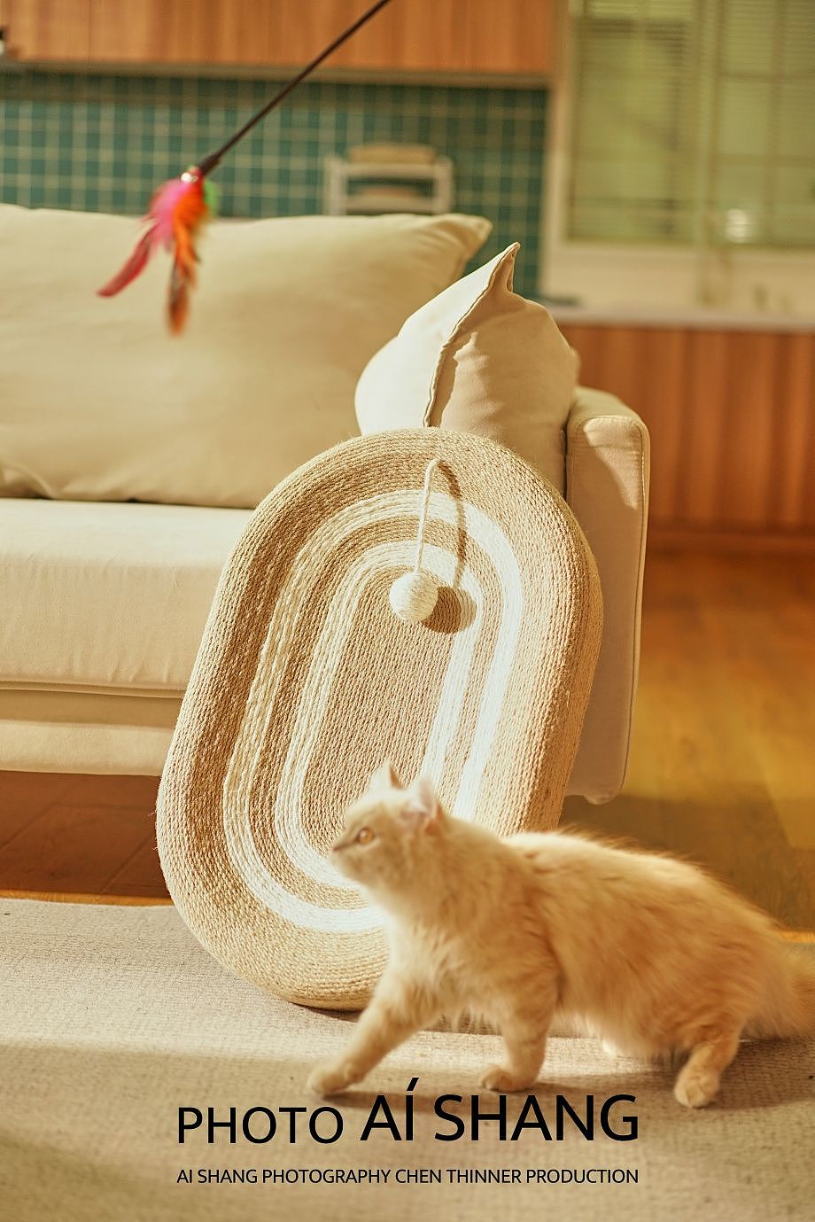 猫抓板（图ZMzUwODMzMDky） - 产品摄影 - 站酷设计师AISHANG05原创素材 - 站酷ZCOOL