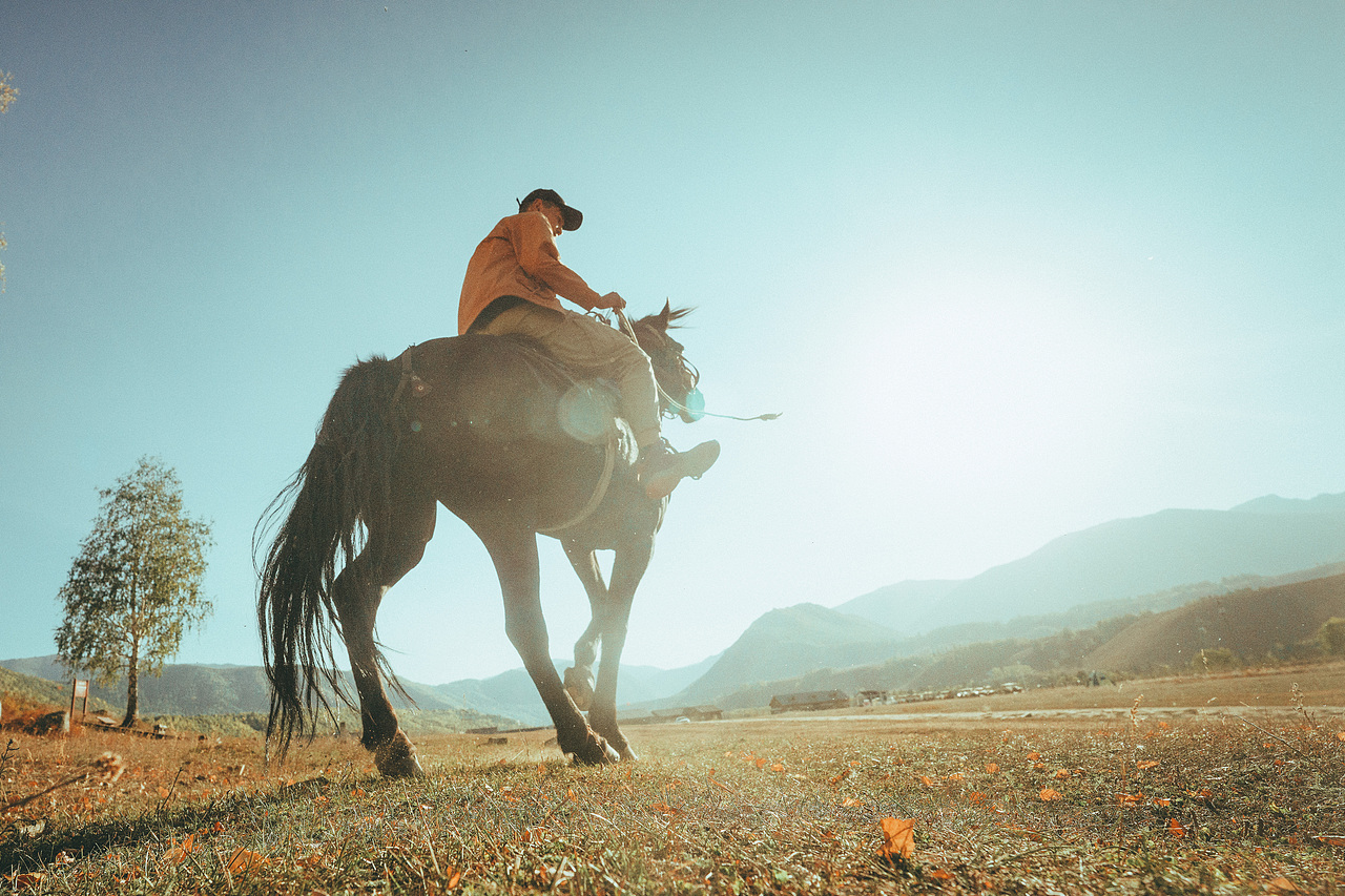 北疆喀纳斯禾木乡之旅（图ZMzE1NTgwNTc2） - 人文/纪实摄影 - 站酷设计师拾光朝圣者原创素材 - 站酷ZCOOL
