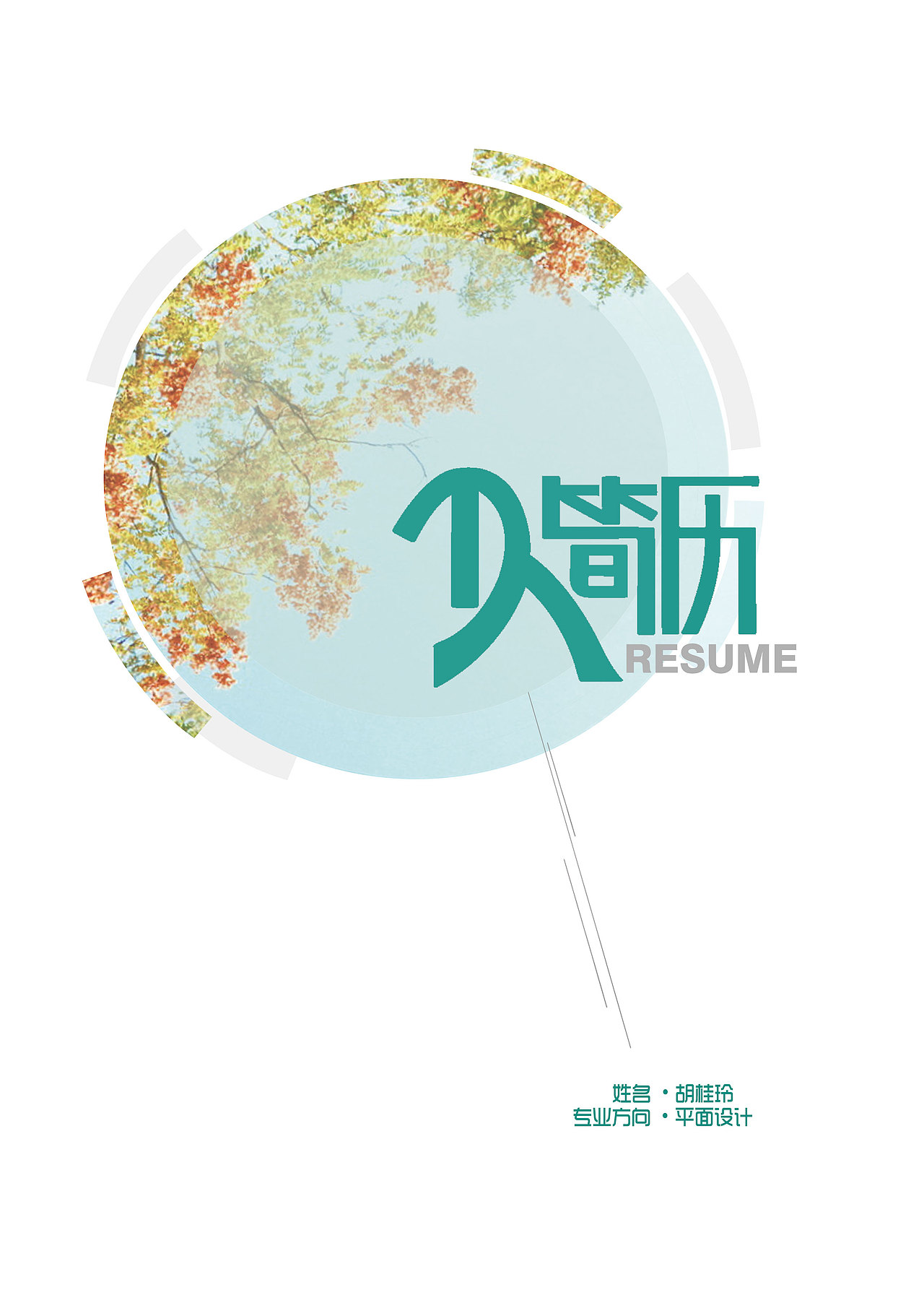 个人简历（图ZMTMxMjk0NjQ=） - 其他平面 - 站酷设计师匿名的苹果原创素材 - 站酷ZCOOL