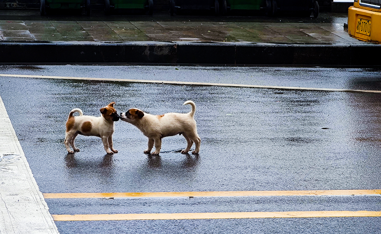 每天坚持拍张照