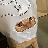 李OYE的头像