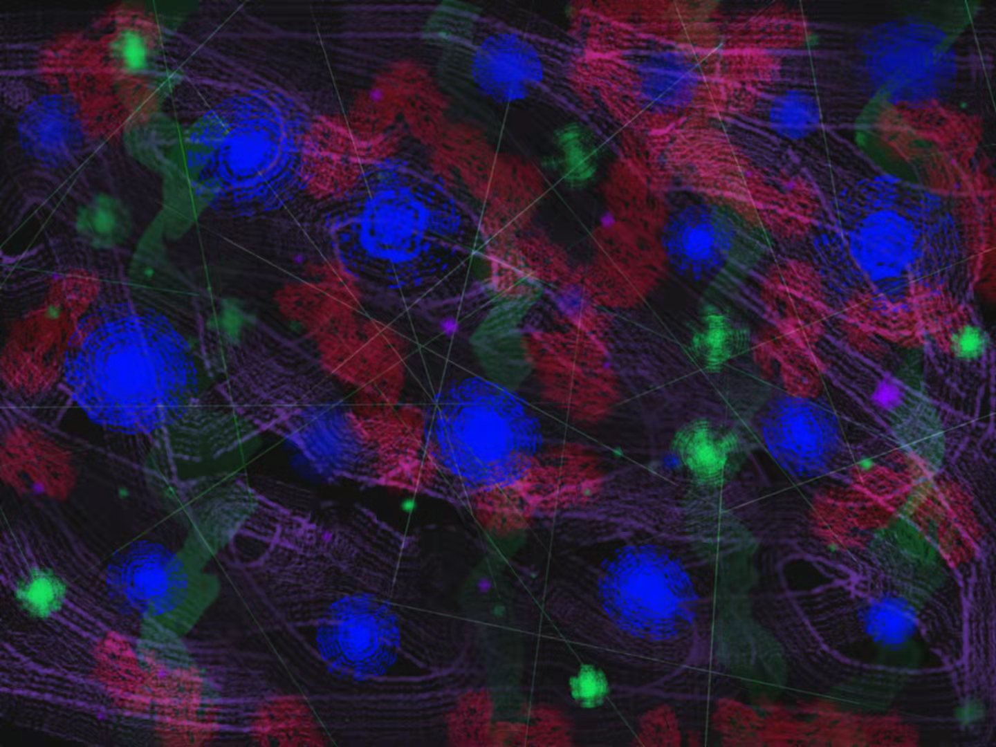 玄魘的個人主頁（背景預(yù)覽） - 主頁背景設(shè)置 - 站酷設(shè)計師玄魘原創(chuàng)素材 - 站酷ZCOOL