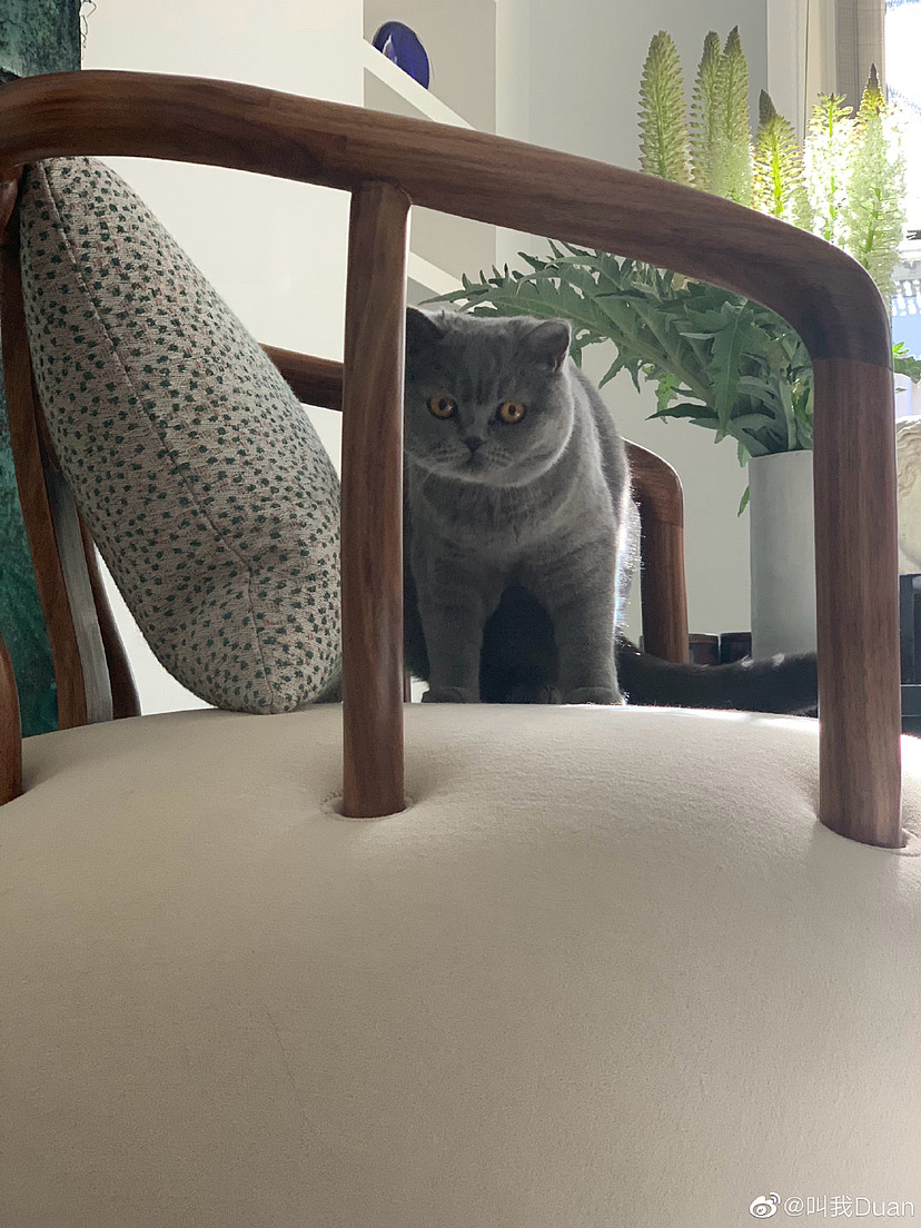 融合·空间（图ZMzIyMTc5MjIw） - 其他空间 - 站酷设计师左雲原创素材 - 站酷ZCOOL