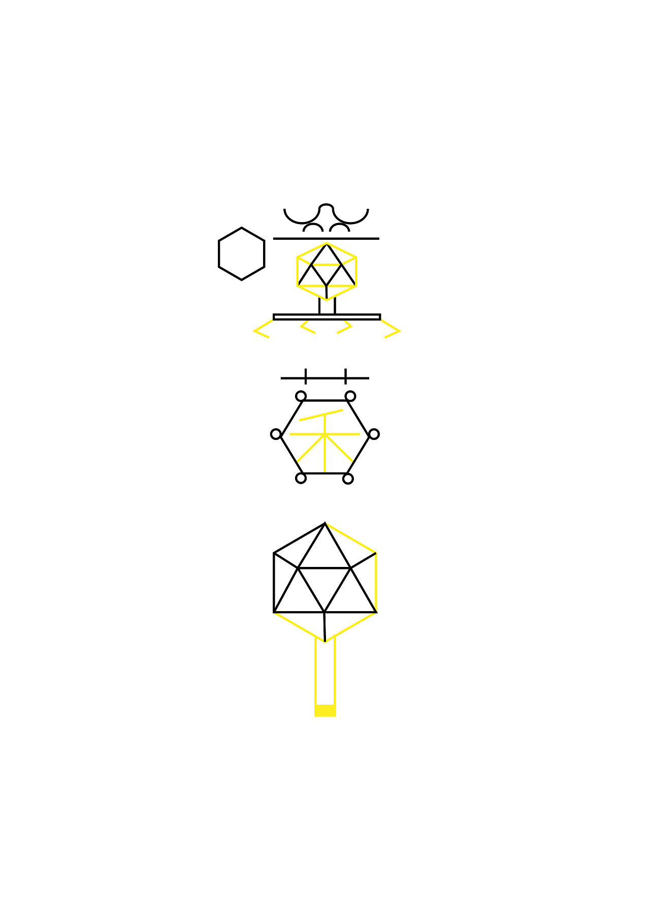 噬菌体logo图片