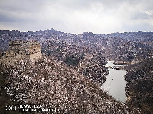 手机摄影黄花水长城