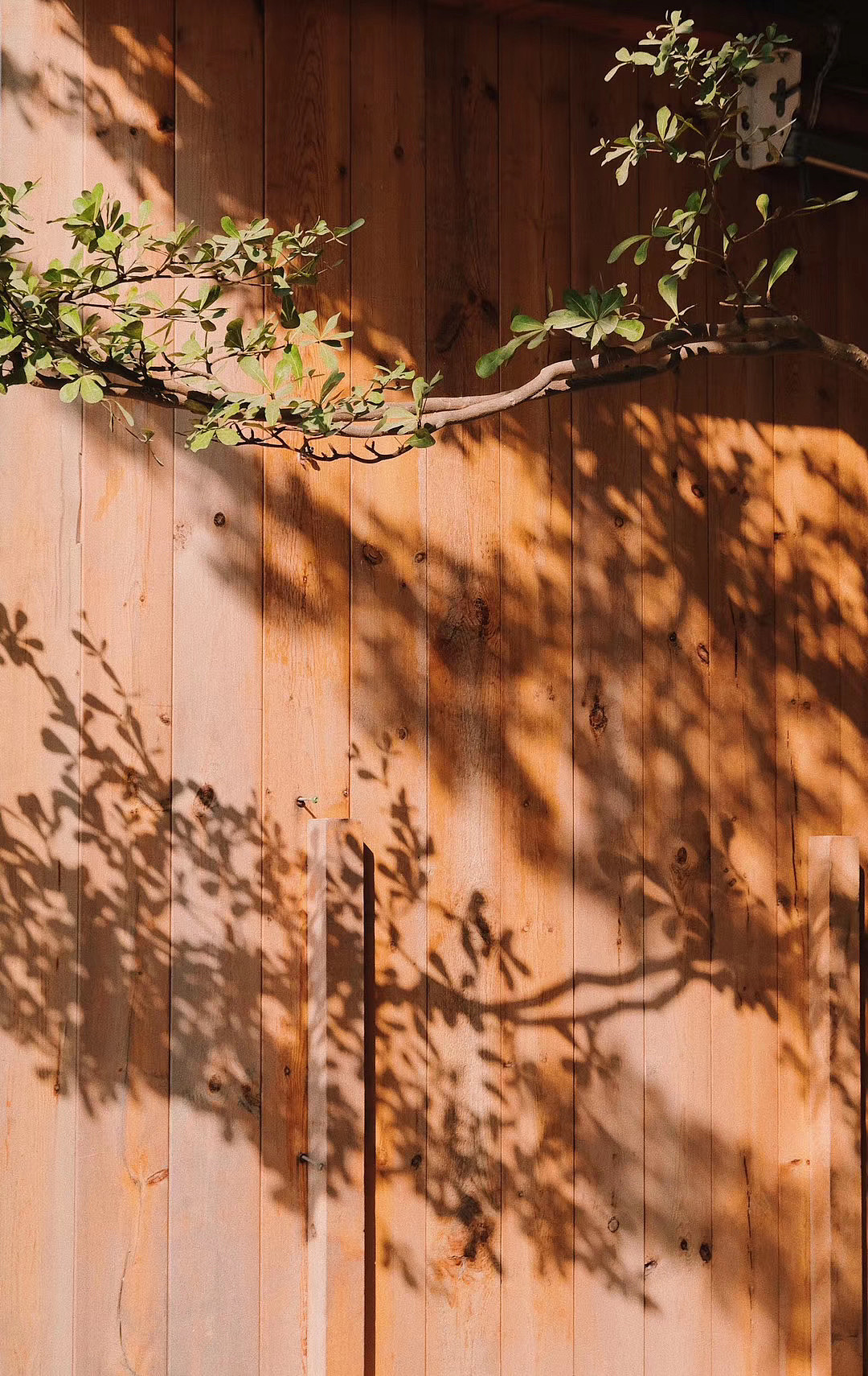 深圳生活2（图ZMjEzNTc5MDc2） - 风光摄影 - 站酷设计师九月ww原创素材 - 站酷ZCOOL