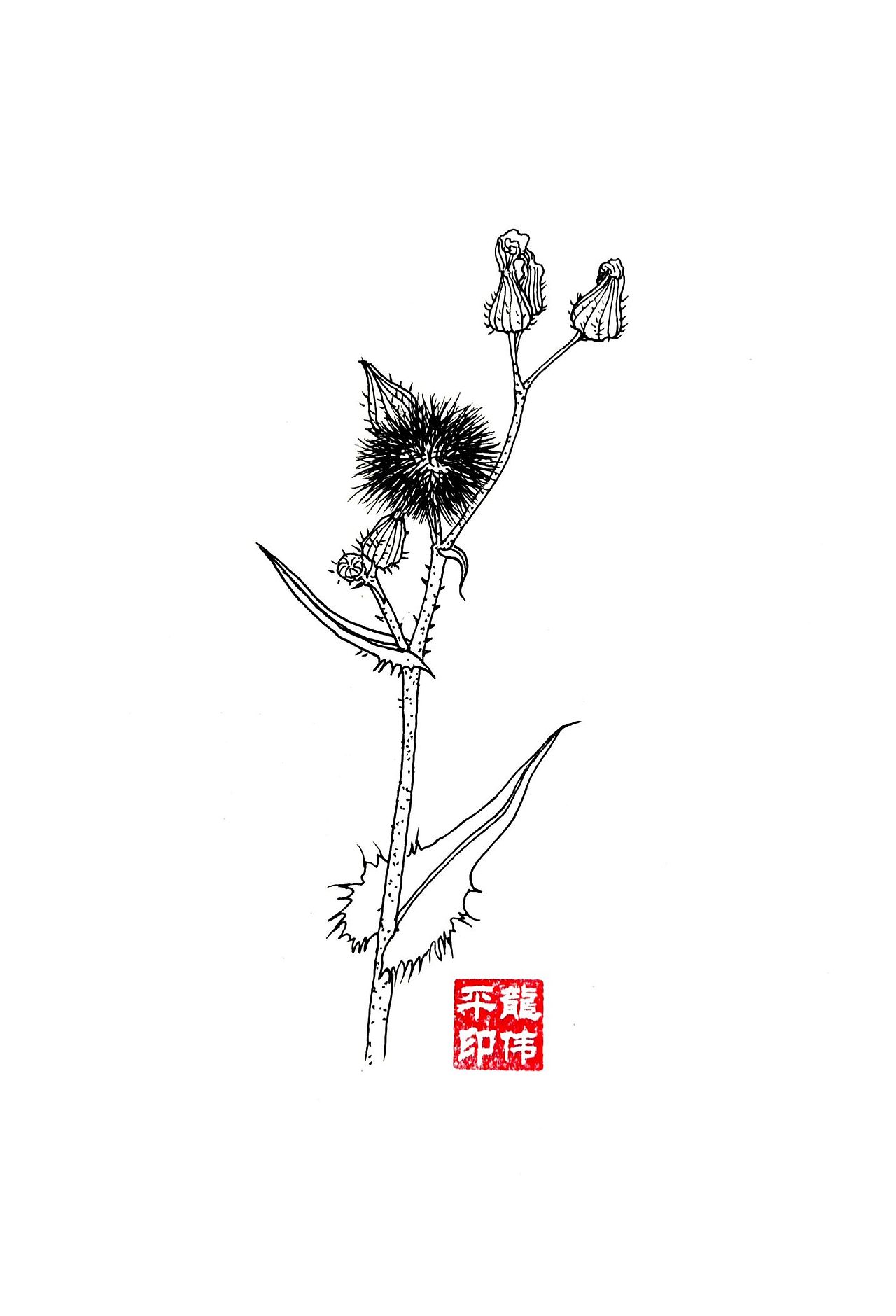 《百草记》系列插画（图ZMzYzNDY5NTc2） - 艺术插画 - 站酷设计师龙伟平原创素材 - 站酷ZCOOL